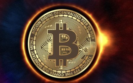 Crypto Adoption On Track To Hit 8% By 2025: Report