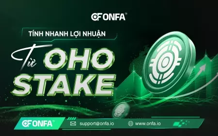 Tính Nhanh Lợi Nhuận Siêu Khủng Từ OHO Stake – Ai Cũng Có Thể Áp Dụng!