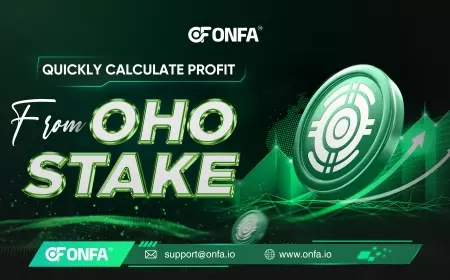 Quickly Calculate Profits from OHO Stake – Anyone Can Apply!