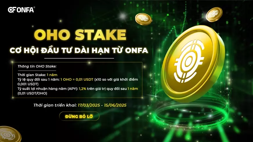 OHO Stake: Cơ Hội Đầu Tư Dài Hạn Từ ONFA
