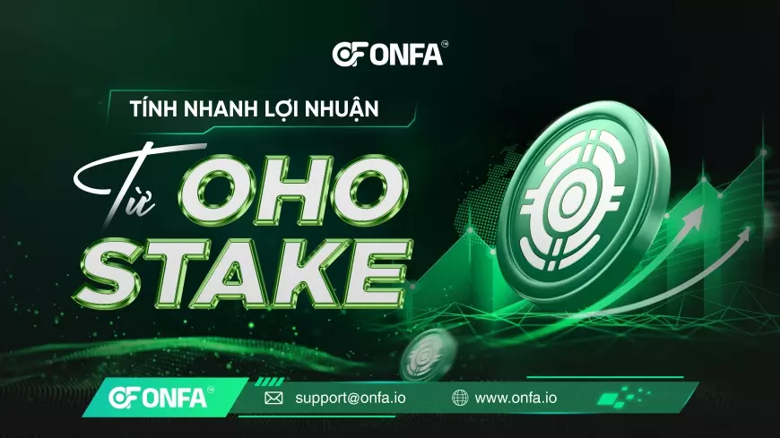 Tính Nhanh Lợi Nhuận Siêu Khủng Từ OHO Stake – Ai Cũng Có Thể Áp Dụng!