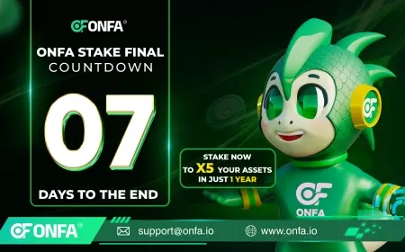 7 Final Days to Make a Safe Investment Choice and 5X Your Assets with ONFA Stake Final