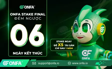 Chỉ Còn 6 Ngày Để Tham Gia ONFA Stake Final – Thời Điểm Vàng Để X5 Tài Sản Đang Gần Kết Thúc