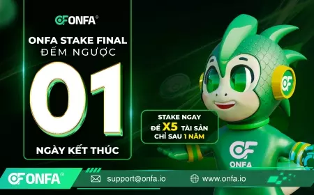 1 Ngày Cuối Cùng: Thời Khắc Quyết Định Đã Đến – Đừng Để Lỡ Cơ Hội X5 Tài Sản Cùng ONFA Stake Final!