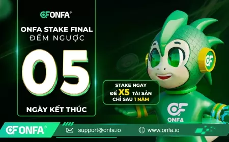 Nắm Bắt Cơ Hội X5 Tài Sản Cùng ONFA Stake Final – Chỉ Còn 5 Ngày Để Hành Động