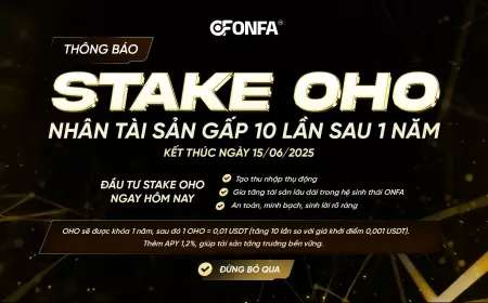 Tăng trưởng bền vững, lợi nhuận đột phá – OHO Stake đang chờ bạn