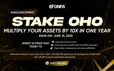 Sustainable Growth, Breakthrough Profit – OHO Stake is Waiting for You
