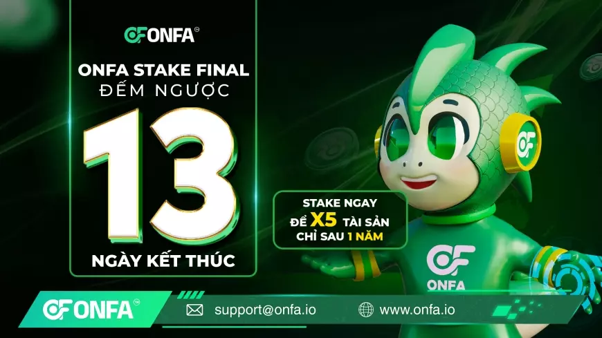 Chỉ Còn 13 Ngày - Tham Gia Ngay ONFA Stake Final Để X5 Tài Sản Trong 365 Ngày