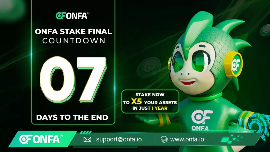 7 Final Days to Make a Safe Investment Choice and 5X Your Assets with ONFA Stake Final