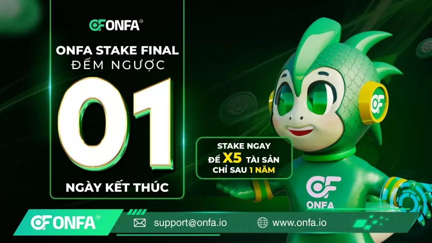1 Ngày Cuối Cùng: Thời Khắc Quyết Định Đã Đến – Đừng Để Lỡ Cơ Hội X5 Tài Sản Cùng ONFA Stake Final!