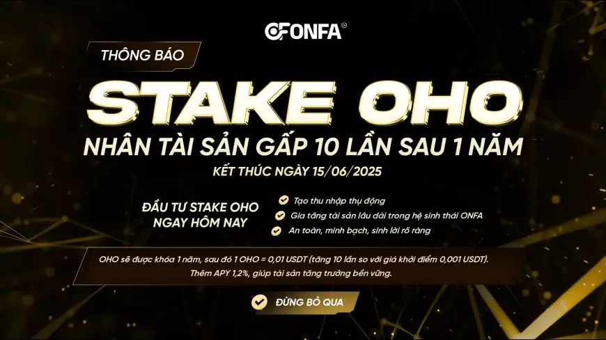 Tăng trưởng bền vững, lợi nhuận đột phá – OHO Stake đang chờ bạn