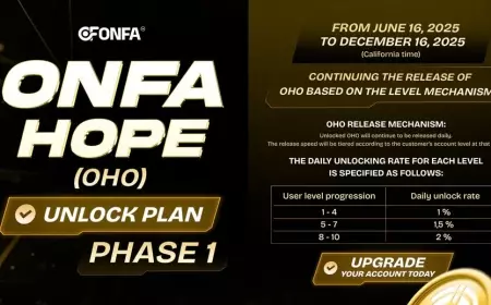 Phase 1 of OHO Unlocking: Daily Release Based on Account Level