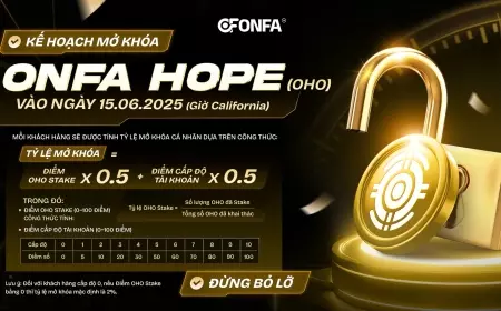 ONFA Công Bố Kế Hoạch Mở Khóa OHO – Lộ Trình 3 Giai Đoạn Bắt Đầu Từ 15/06/2025