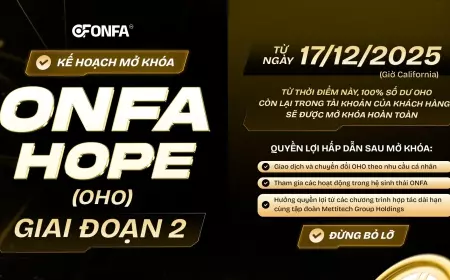 Giai Đoạn 2 Mở Khóa OHO: Toàn Bộ Tài Sản Được Giải Phóng