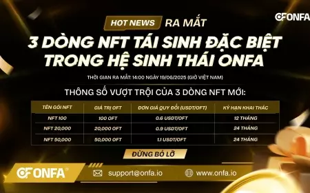 ONFA Chính Thức Ra Mắt 3 Dòng NFT Tái Sinh Đặc Biệt Trong Hệ Sinh Thái ONFA