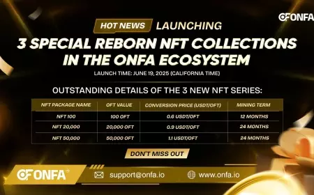 ONFA Officially Launches 3 Special Reborn NFT Collections In The ONFA Ecosystem