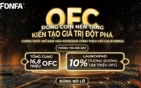 Ra Mắt Launchpad OFC - Cột Mốc Lịch Sử Của Hệ Sinh Thái ONFA Chain