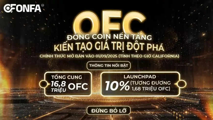 Ra Mắt Launchpad OFC - Cột Mốc Lịch Sử Của Hệ Sinh Thái ONFA Chain