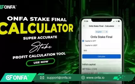 ONFA Stake Final - The Most Accurate Stake Profit Calculator!