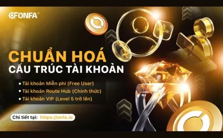 Chuẩn Hóa Cấu Trúc Tài Khoản ONFA  - Lộ Trình Phát Triển Thành Viên Rõ Ràng Và Minh Bạch